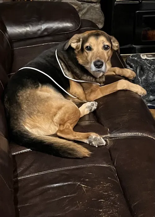 Montville Veterinary Group Picture 6