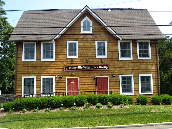 Montville Veterinary Group Picture 9