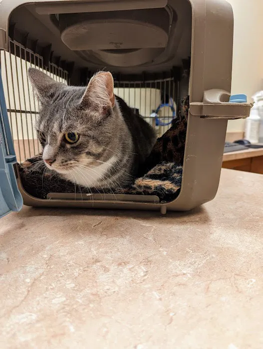 Montville Veterinary Group Picture 3