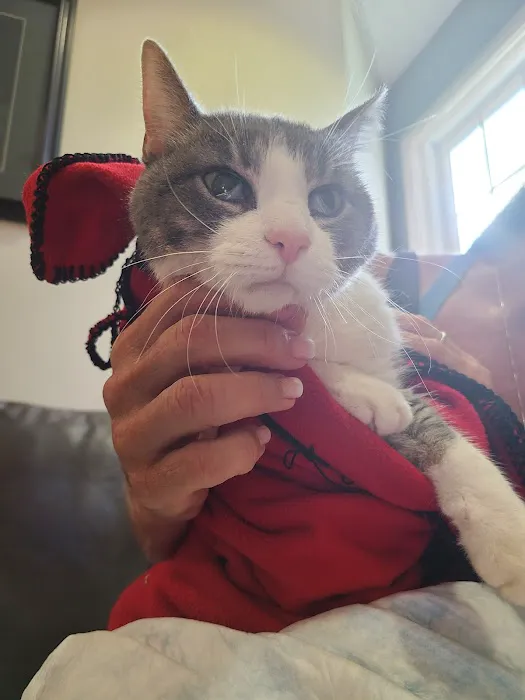 Montville Veterinary Group Picture 10