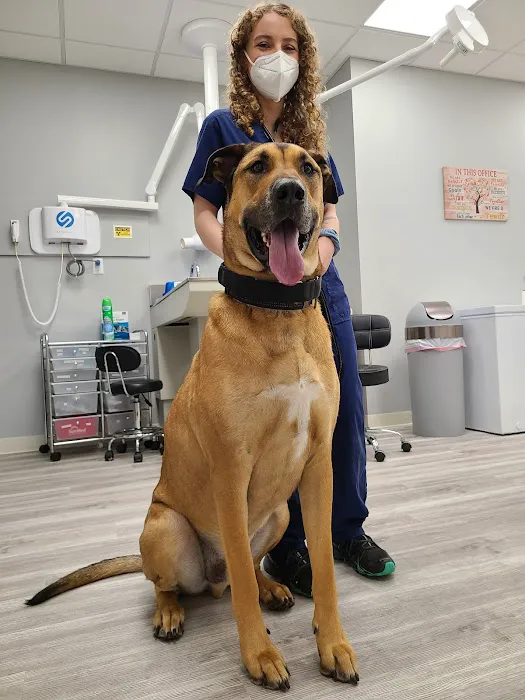 Devotion Veterinary Care Picture 6