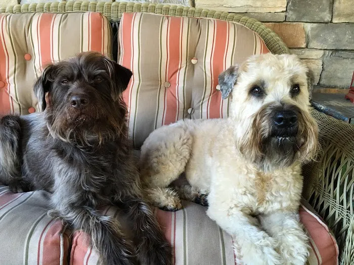 Park View Veterinary Hospital Picture 3