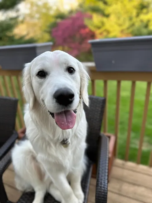 Park View Veterinary Hospital Picture 7