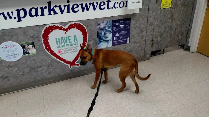 Park View Veterinary Hospital Picture 6