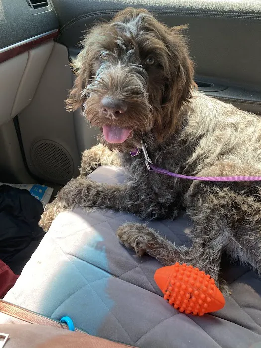 Park View Veterinary Hospital Picture 4