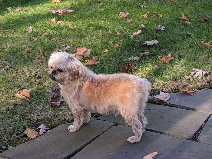 Park View Veterinary Hospital Picture 5