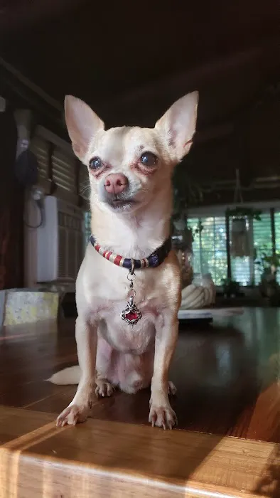 Park View Veterinary Hospital Picture 8