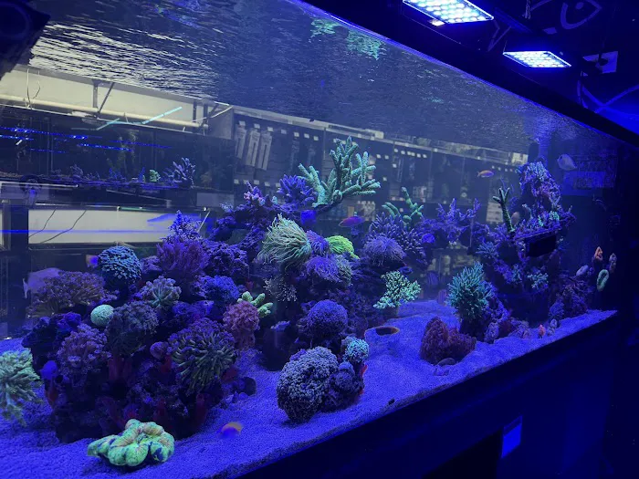 AquaticHQ Picture 3