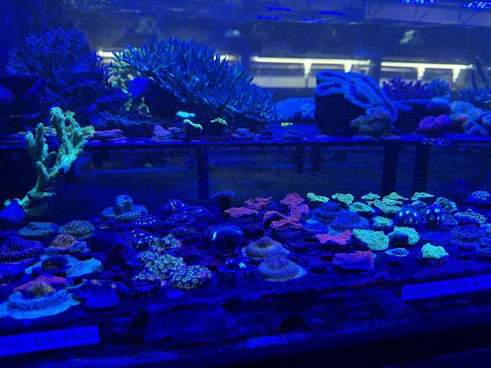 AquaticHQ Picture 2