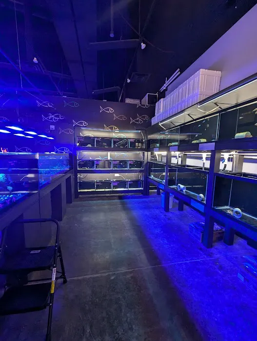 AquaticHQ Picture 6