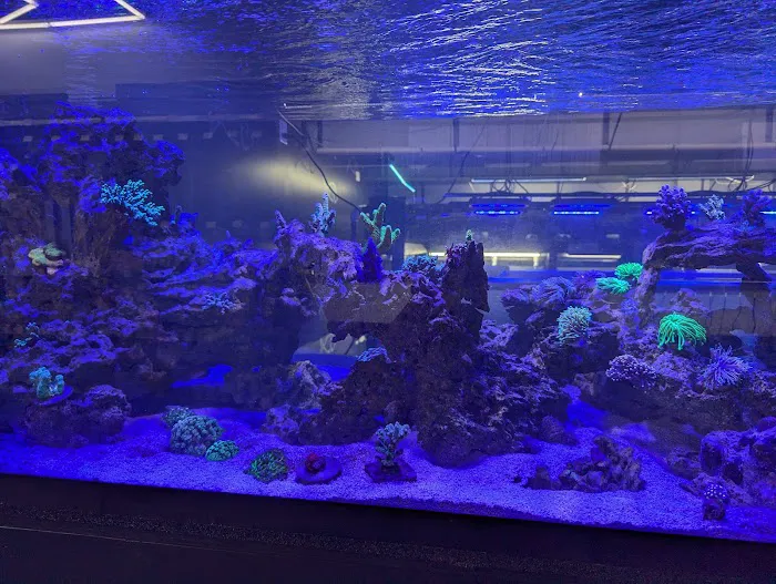 AquaticHQ Picture 5