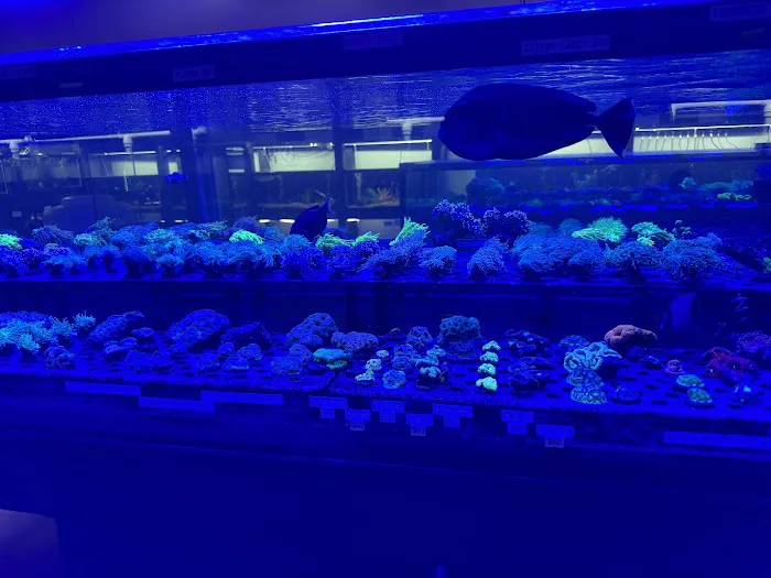 AquaticHQ Picture 8