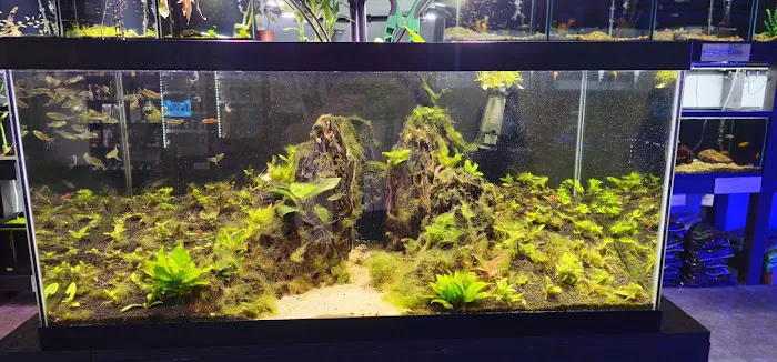AquaticHQ Picture 7