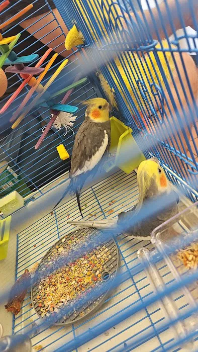 Companion Animal Hospital & Avian/Exotic Clinic Picture 9