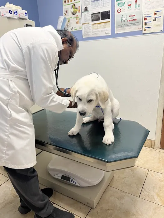 Faith Veterinary Clinic Picture 4