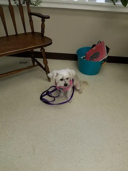 Colonial Animal Hospital Picture 2