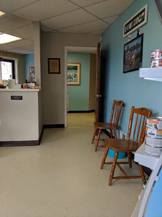 Colonial Animal Hospital Picture 8