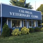 Colonial Animal Hospital