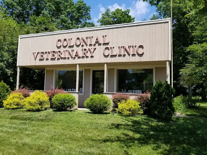 Colonial Animal Hospital Picture 3