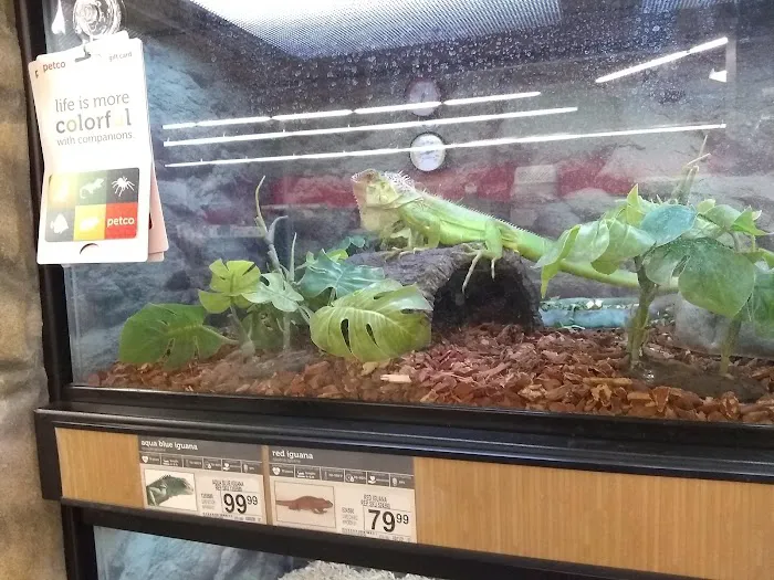Petco Picture 9