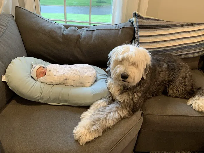 Red Bank Veterinary Hospital (RBVH) - Tinton Falls Picture 7