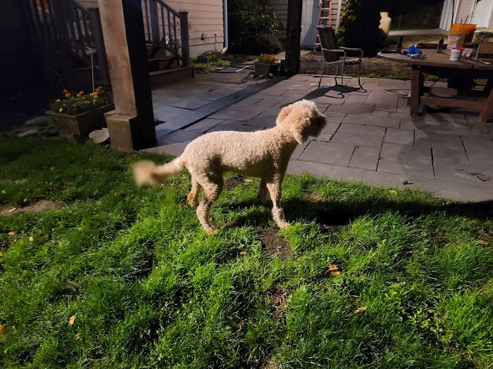 Red Bank Veterinary Hospital (RBVH) - Tinton Falls Picture 9