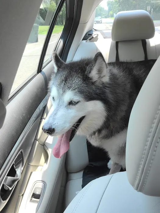 Red Bank Veterinary Hospital (RBVH) - Tinton Falls Picture 10