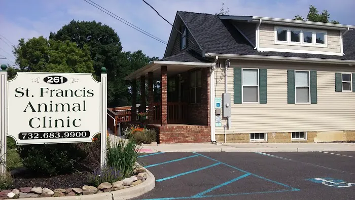 St. Francis Animal Clinic Picture 3