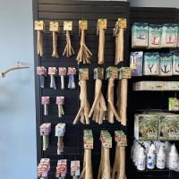 BIRDMAN'S PARROTS ico