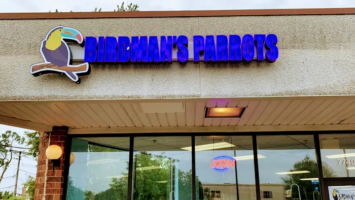 BIRDMAN'S PARROTS Picture 8