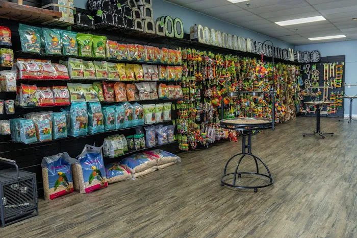 BIRDMAN'S PARROTS Picture 2