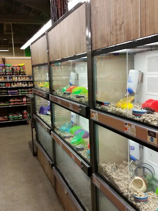 Petco Picture 1