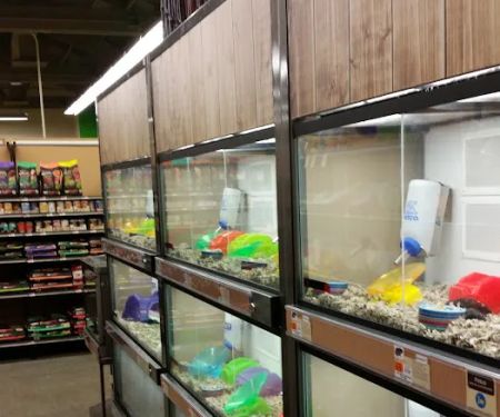 Petco