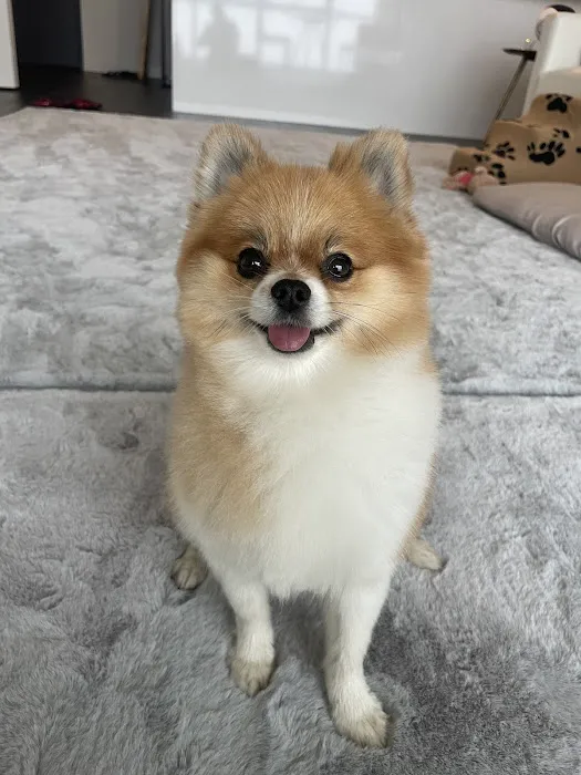 Petco Picture 6