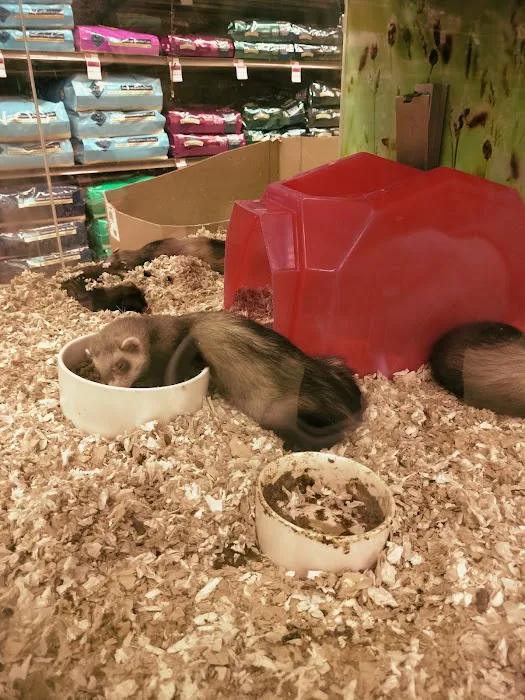 Petco Picture 7