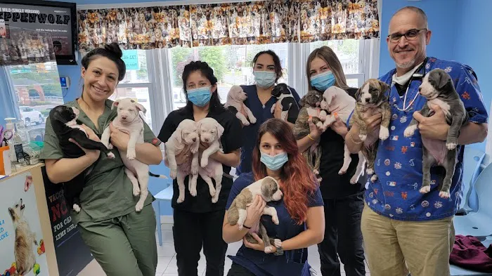 Central Monmouth Animal Hospital : Neil Bloom DVM Picture 3