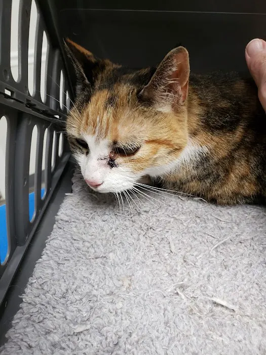 Central Monmouth Animal Hospital : Neil Bloom DVM Picture 10
