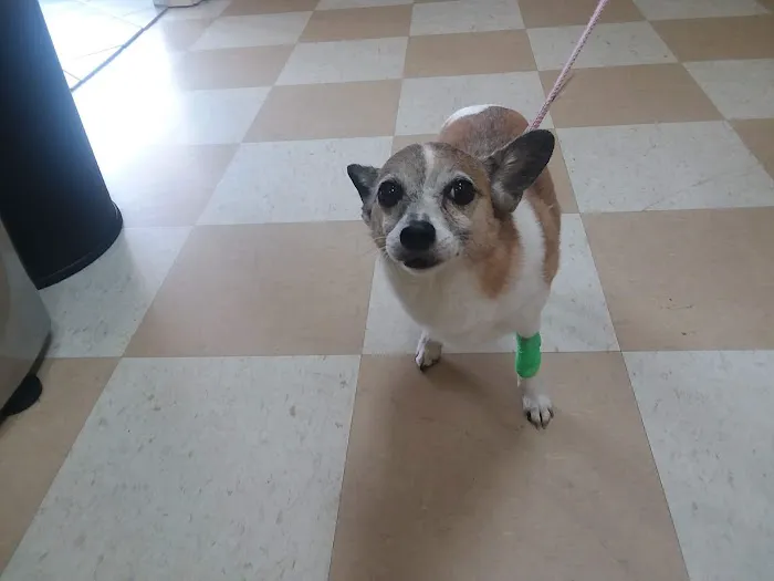 Central Jersey Animal Hospital Picture 1