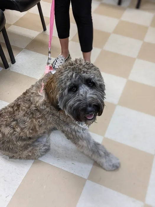 Central Jersey Animal Hospital Picture 4