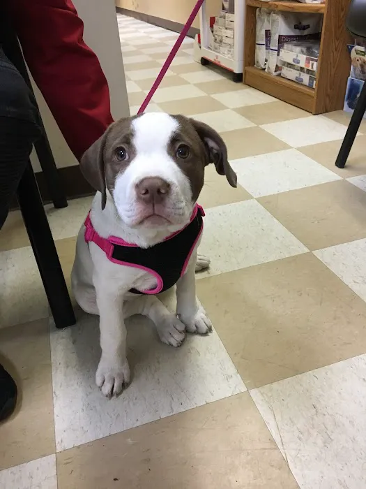 Central Jersey Animal Hospital Picture 9
