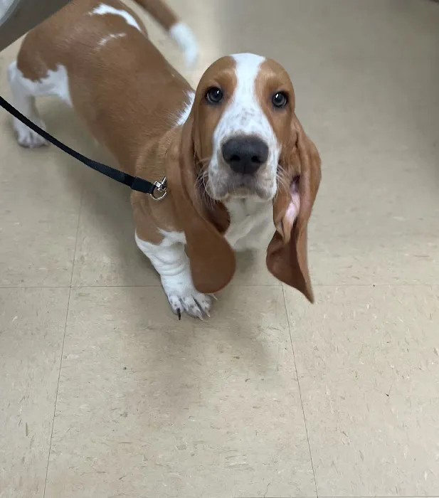 Central Jersey Animal Hospital Picture 10