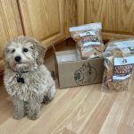 Nala and Lucas Chicken Jerky