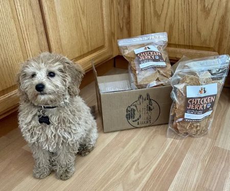 Nala and Lucas Chicken Jerky