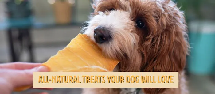 Nala and Lucas Chicken Jerky Picture 6