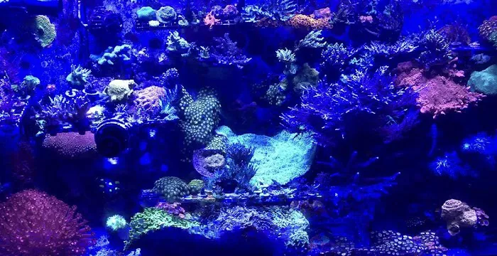 Aquatic Solutions Inc. Picture 1