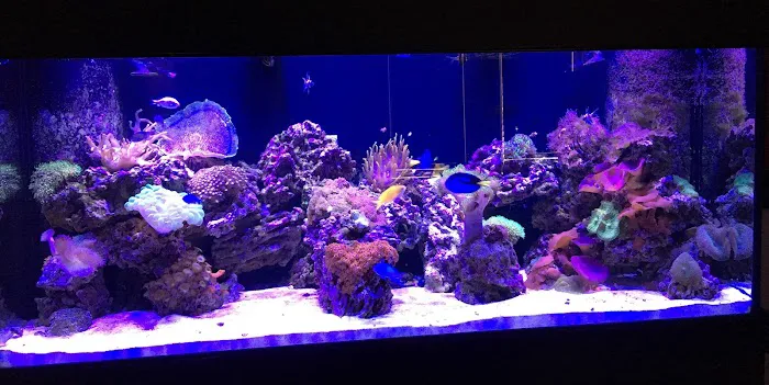 Aquatic Solutions Inc. Picture 2