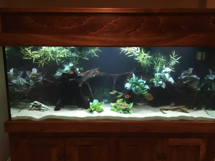 Aquatic Solutions Inc. Picture 5