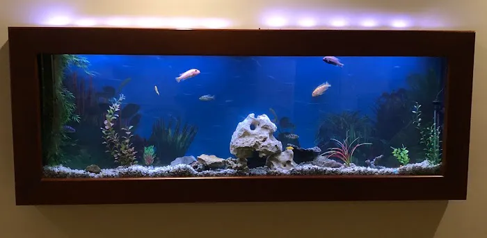 Aquatic Solutions Inc. Picture 8