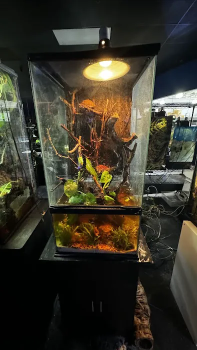 Aquarium Adventure Picture 2