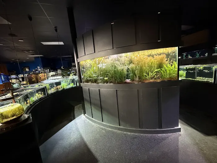 Aquarium Adventure Picture 8